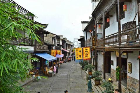 虫虫助手下载